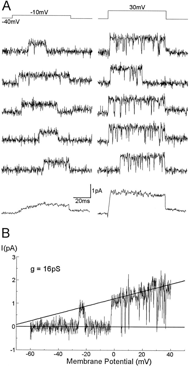 Fig. 9.