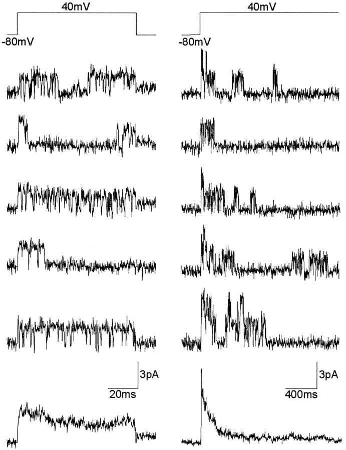 Fig. 10.