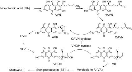 FIG. 6.