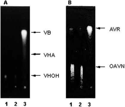 FIG. 3.