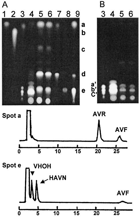 FIG. 5.