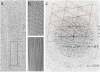 Fig. 3.