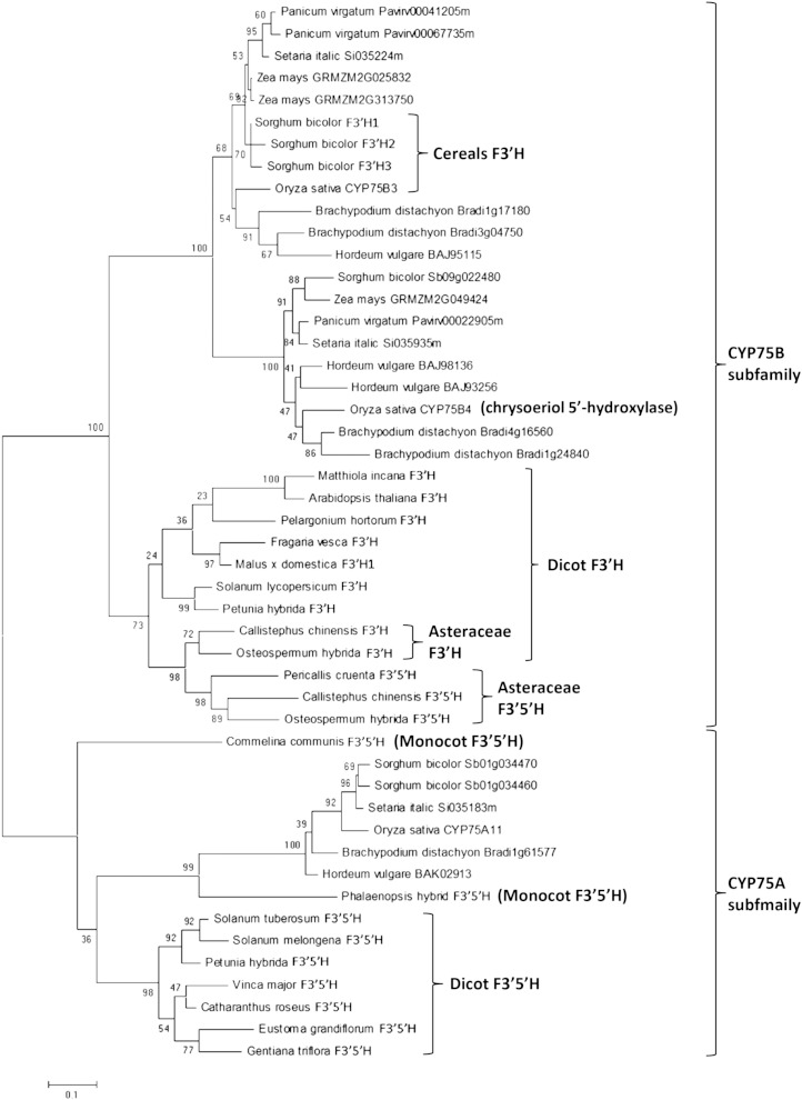 Figure 5.