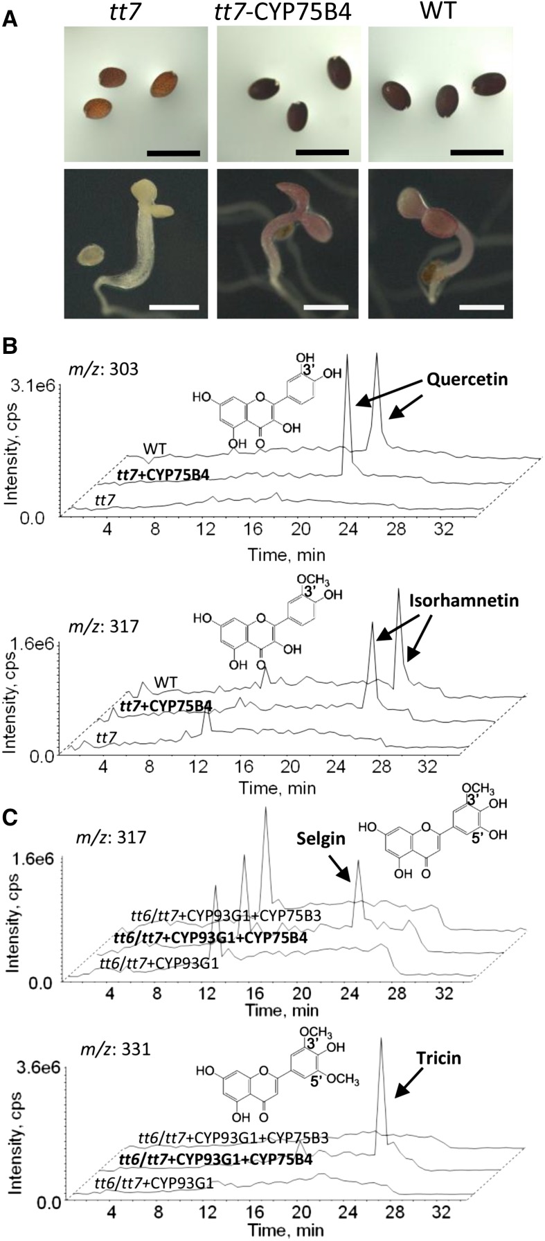 Figure 3.