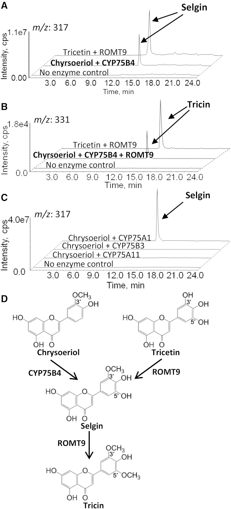 Figure 4.