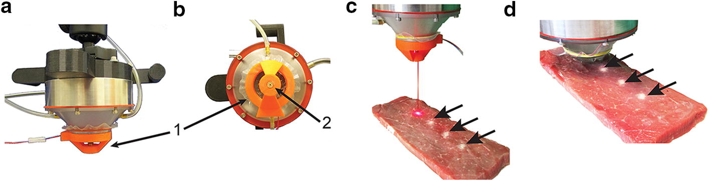 Fig. 2