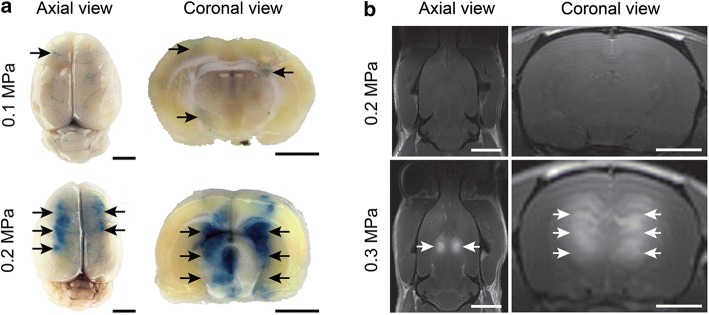 Fig. 8