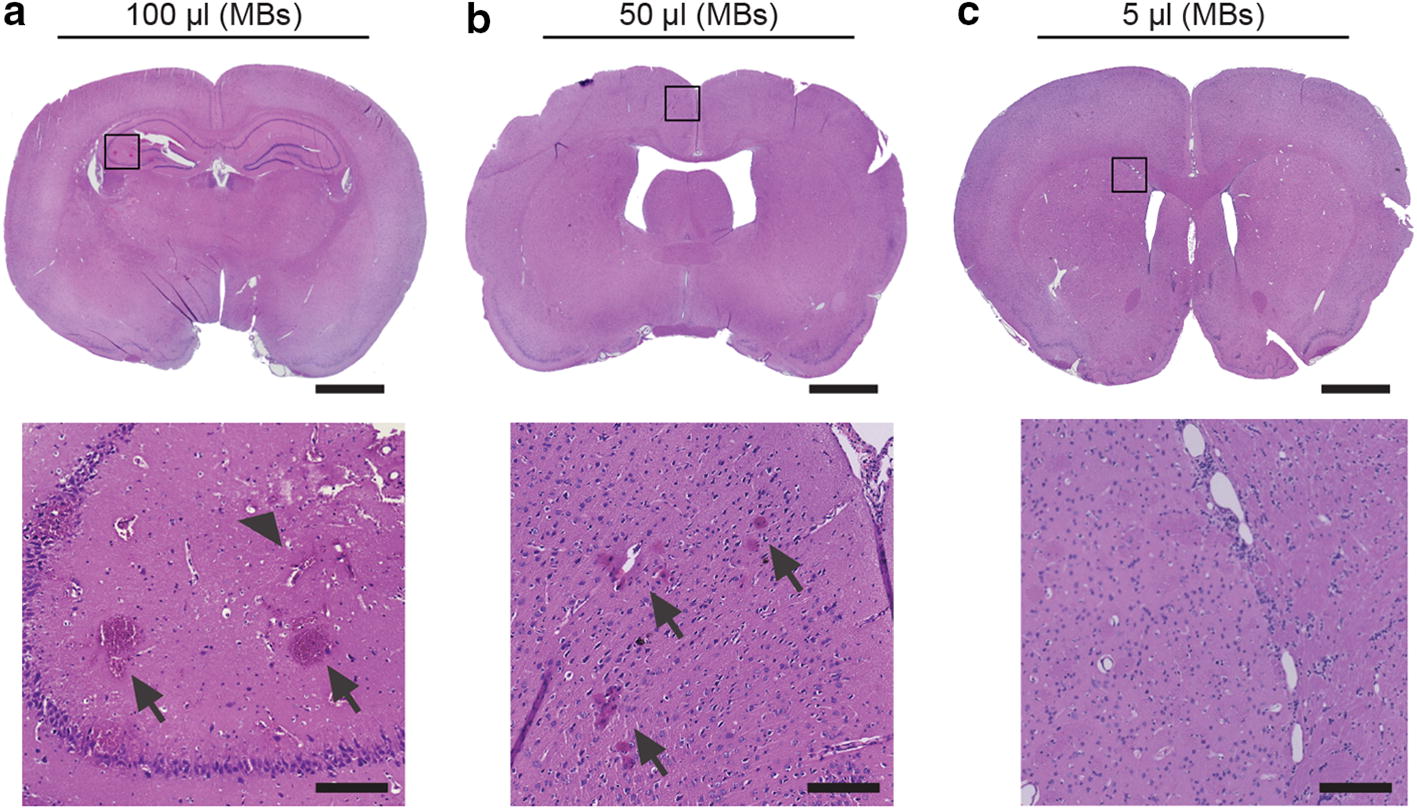 Fig. 10