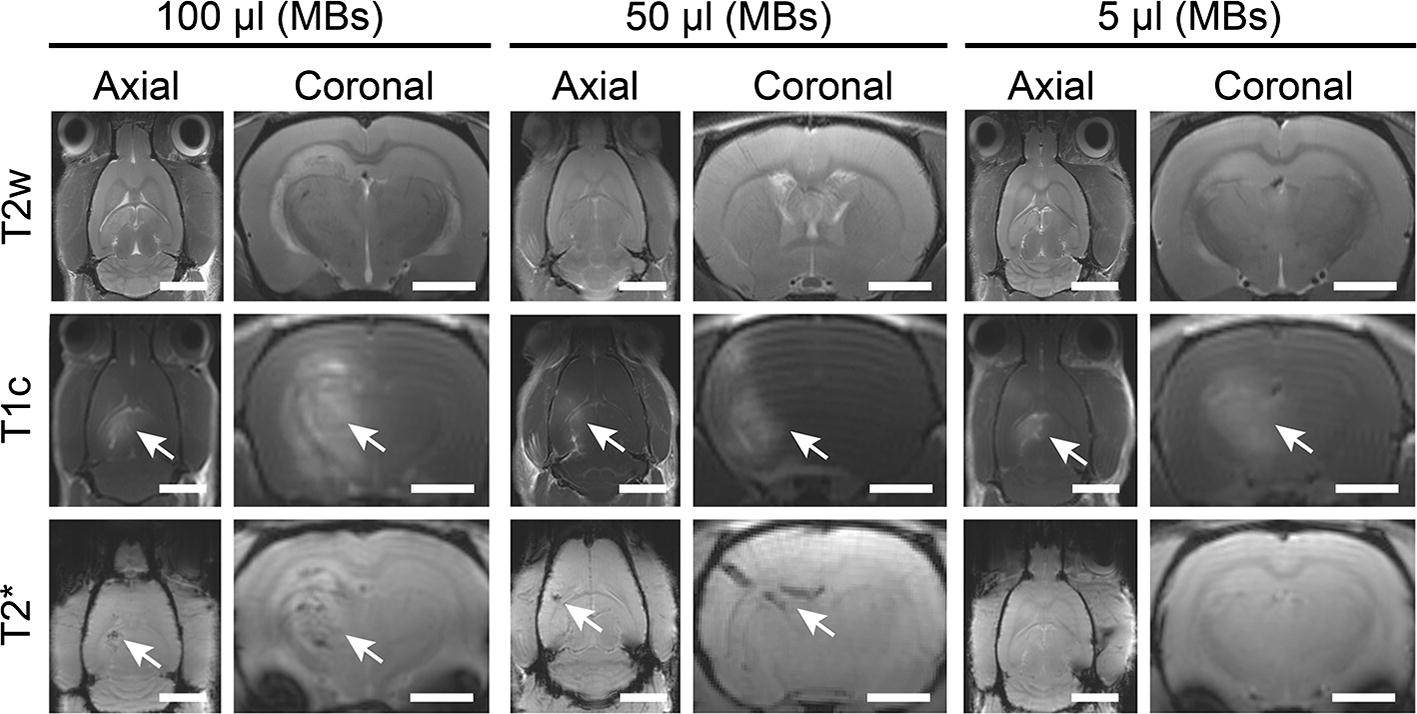 Fig. 9