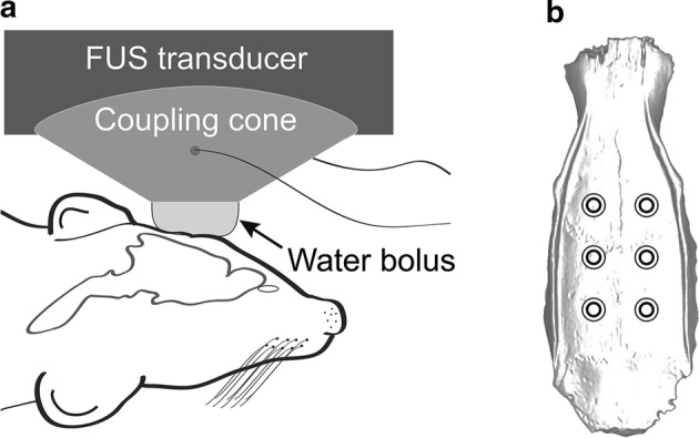 Fig. 4