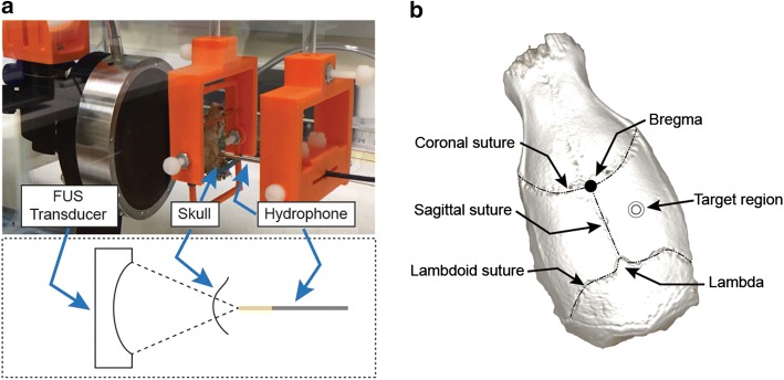 Fig. 3