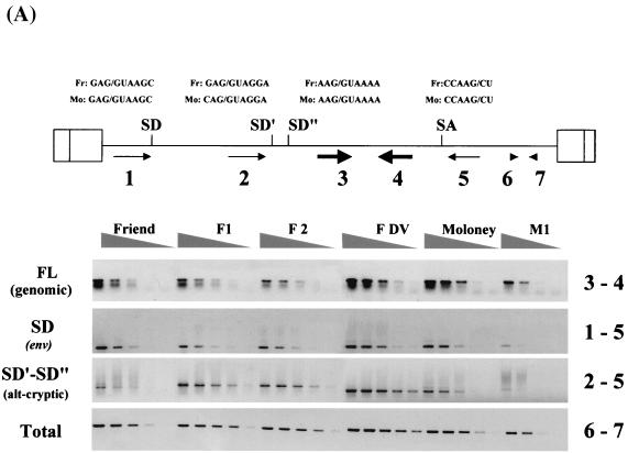 FIG. 5