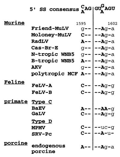 FIG. 7