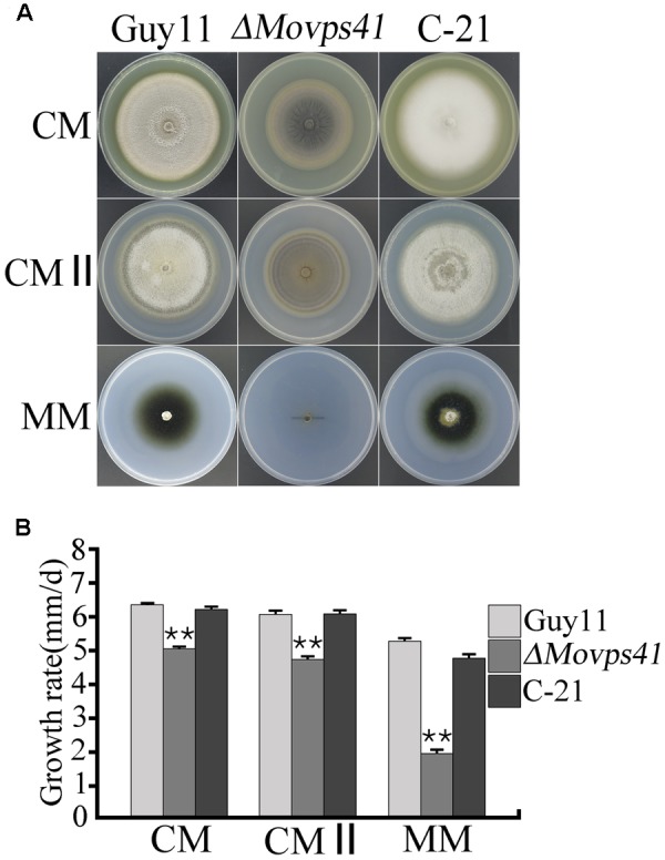 FIGURE 2