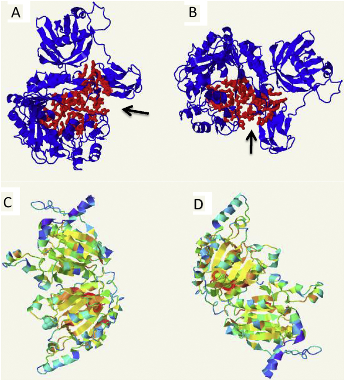 Fig. 2