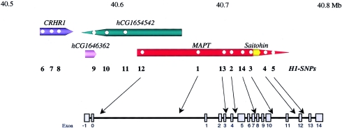 Figure  2