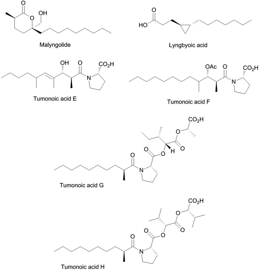 Fig. 14