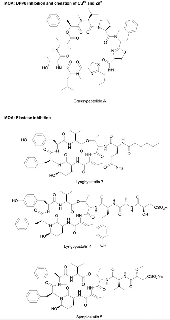 Fig. 8