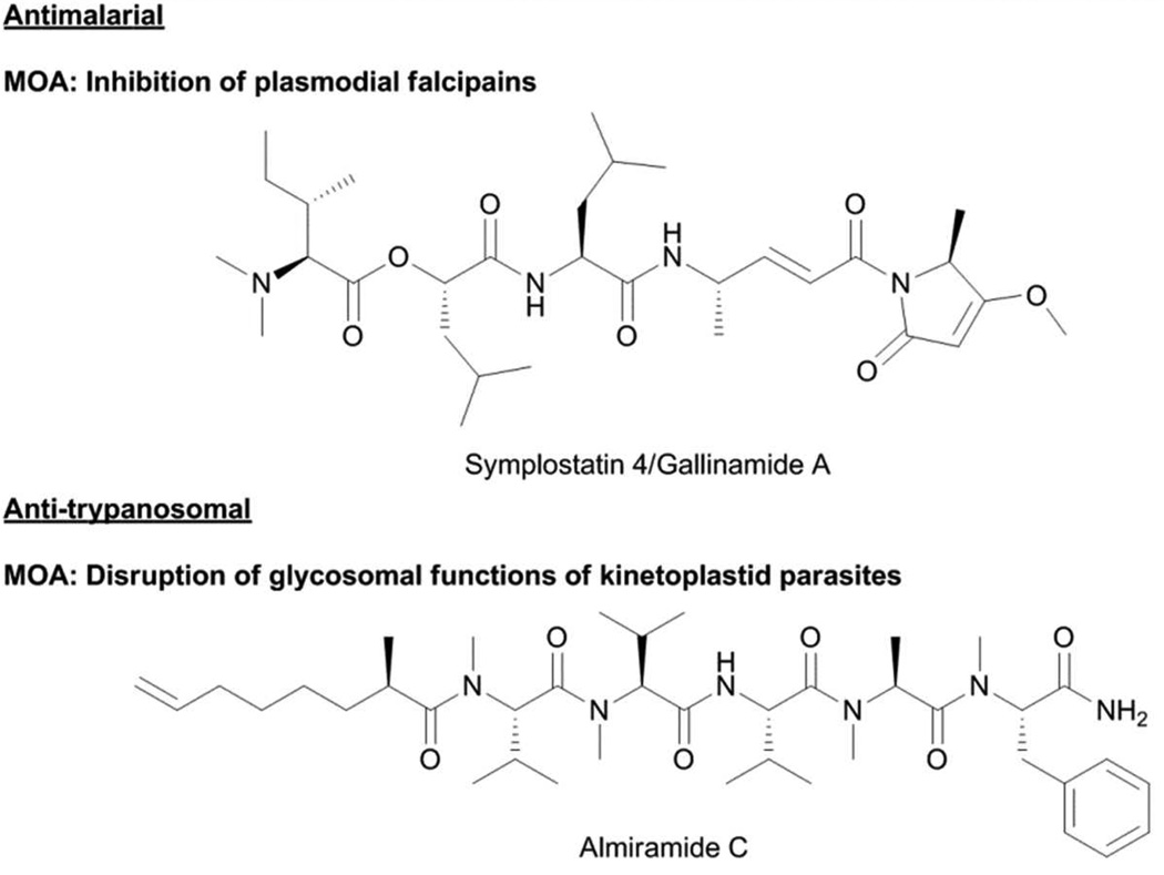 Fig. 13