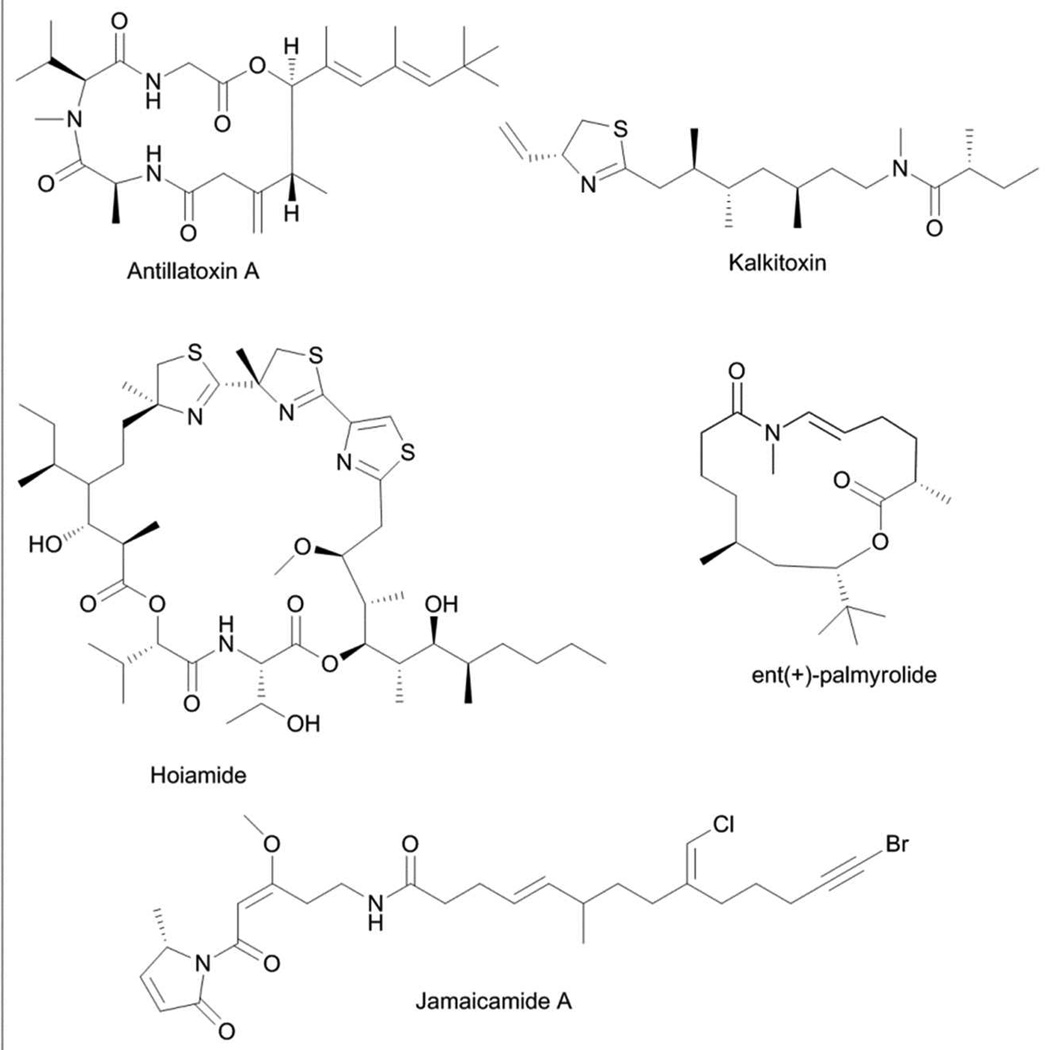 Fig. 12