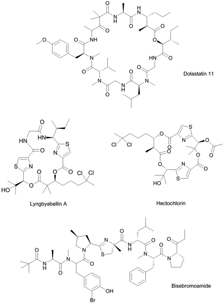 Fig. 5