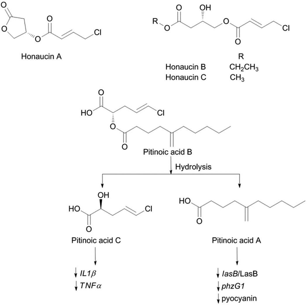 Fig. 15