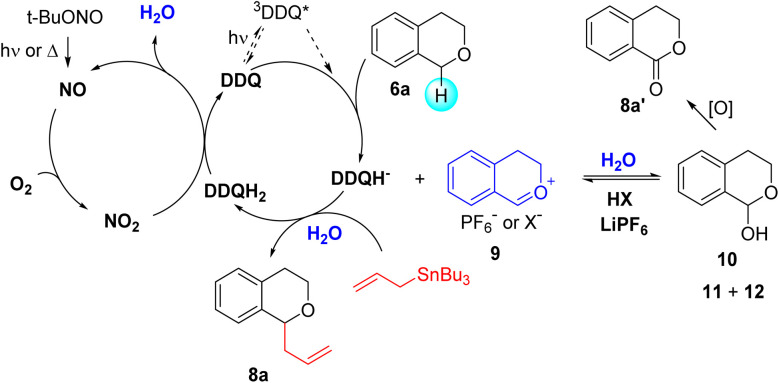 Scheme 3