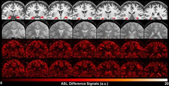 Figure 2: