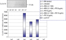 Figure 7: