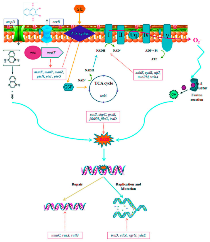 Figure 5