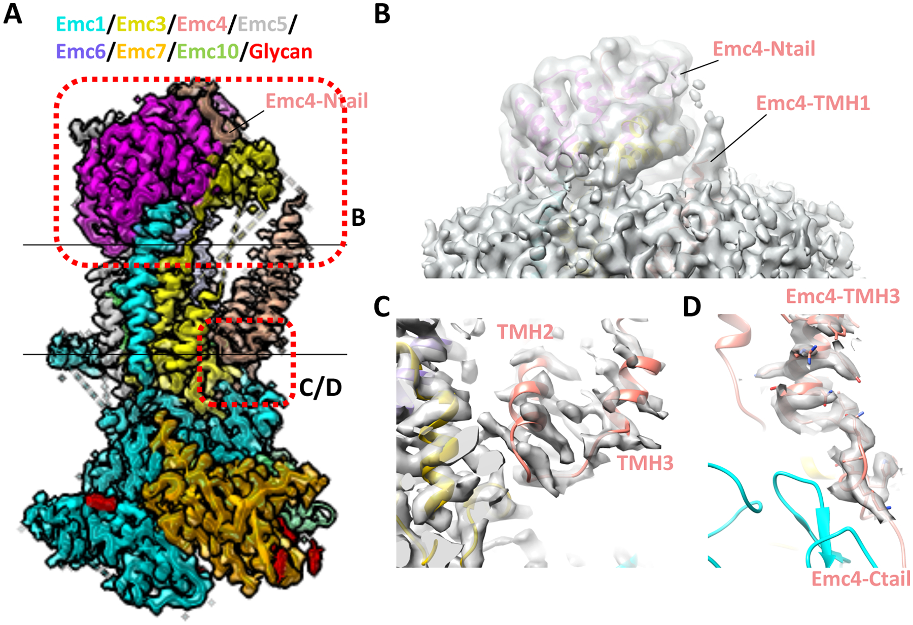 Figure 3.