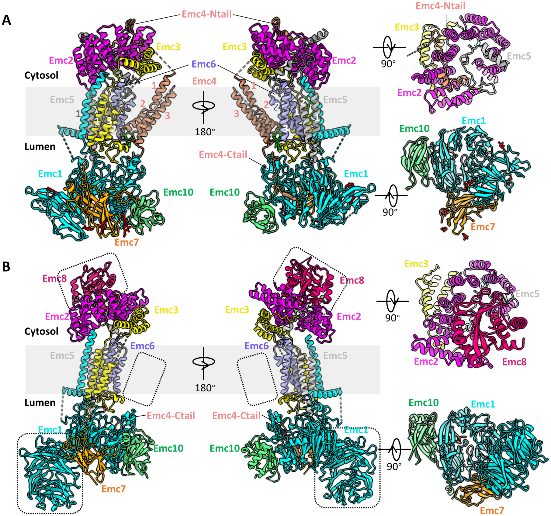 Figure 2.