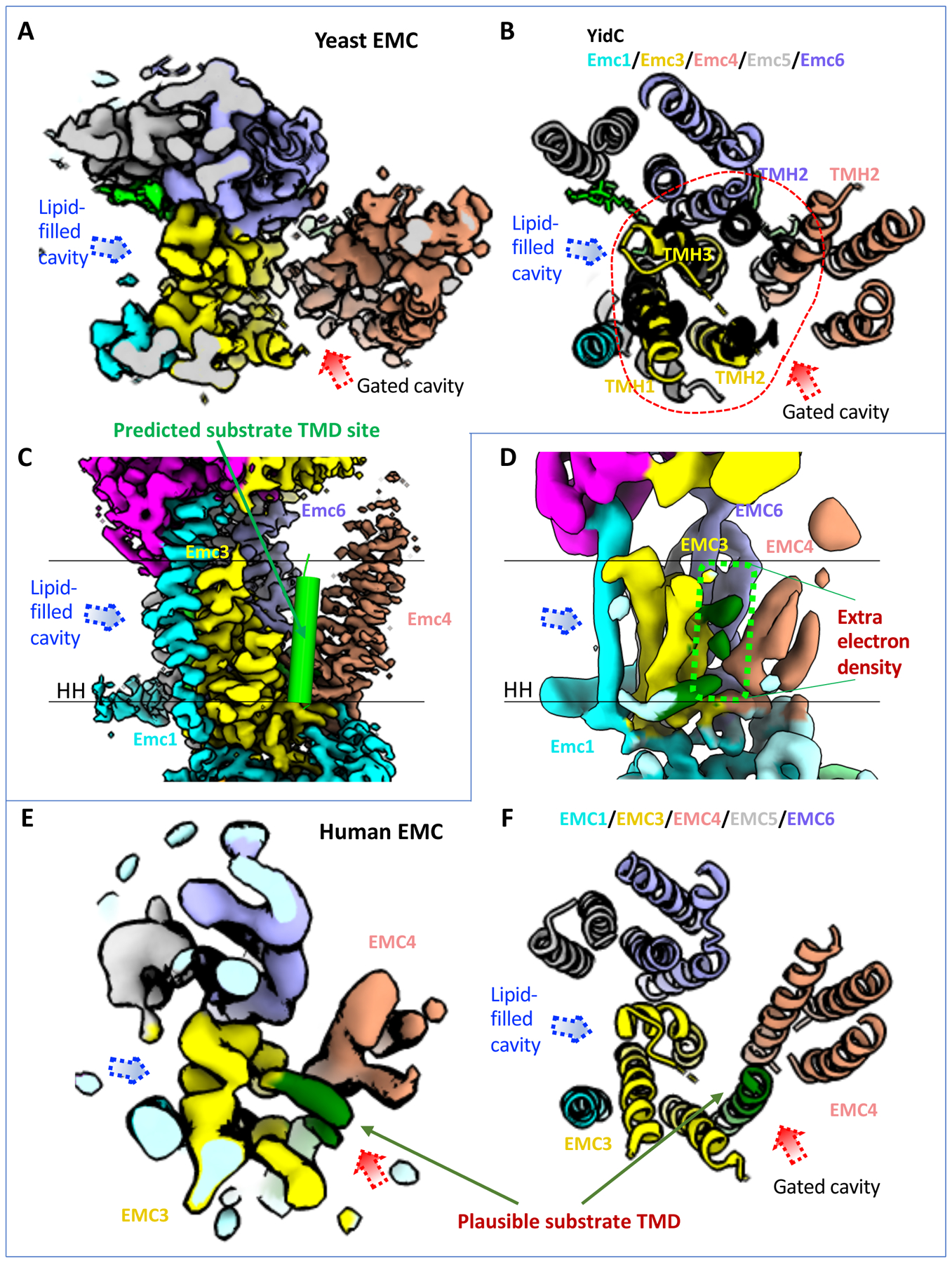 Figure 4.