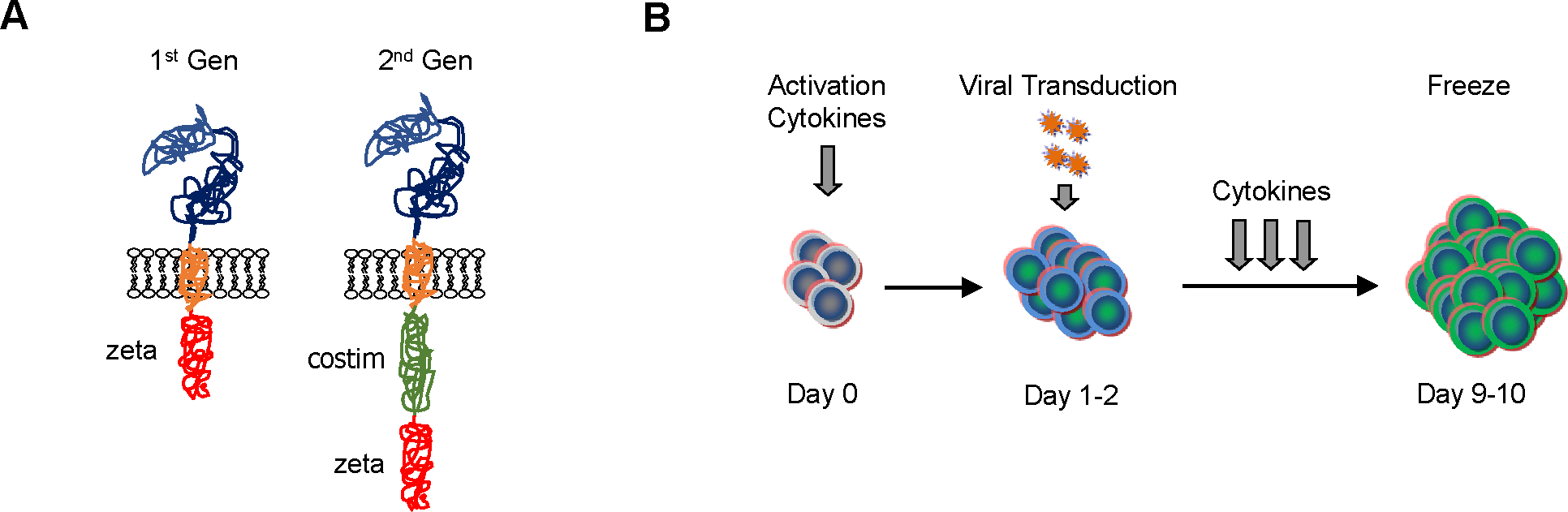 Figure 1: