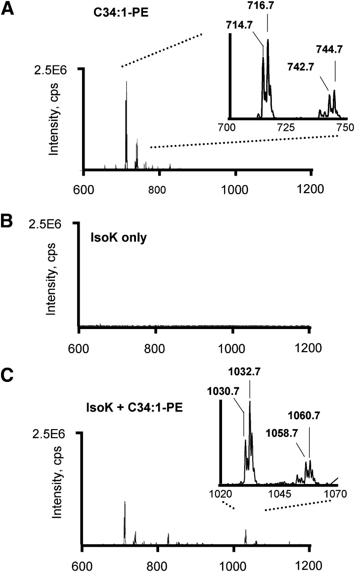 Fig. 3.