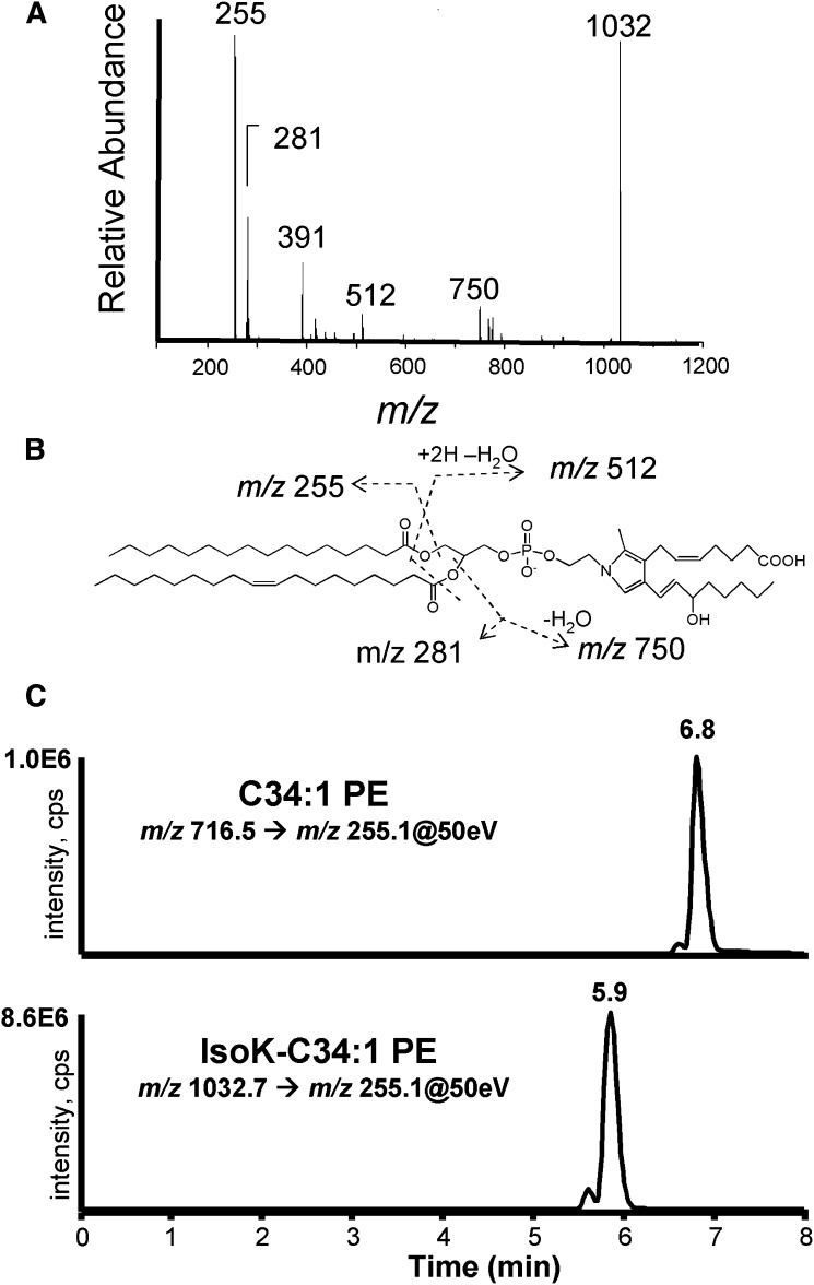 Fig. 4.