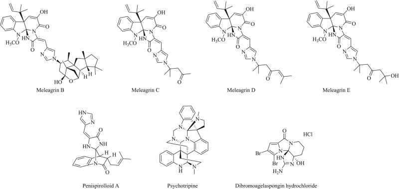 Fig. (8)