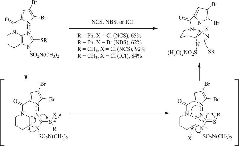 Scheme 22