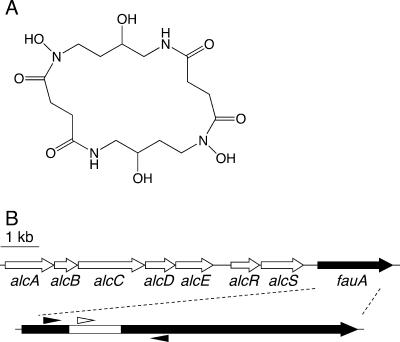 FIG. 1.