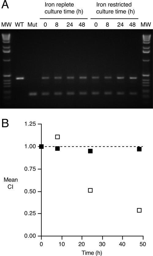 FIG. 6.