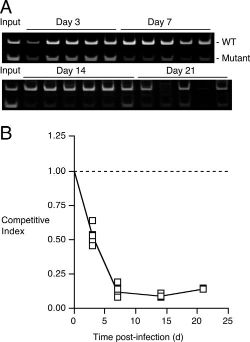 FIG. 8.