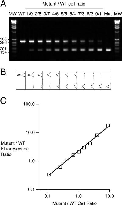 FIG. 3.