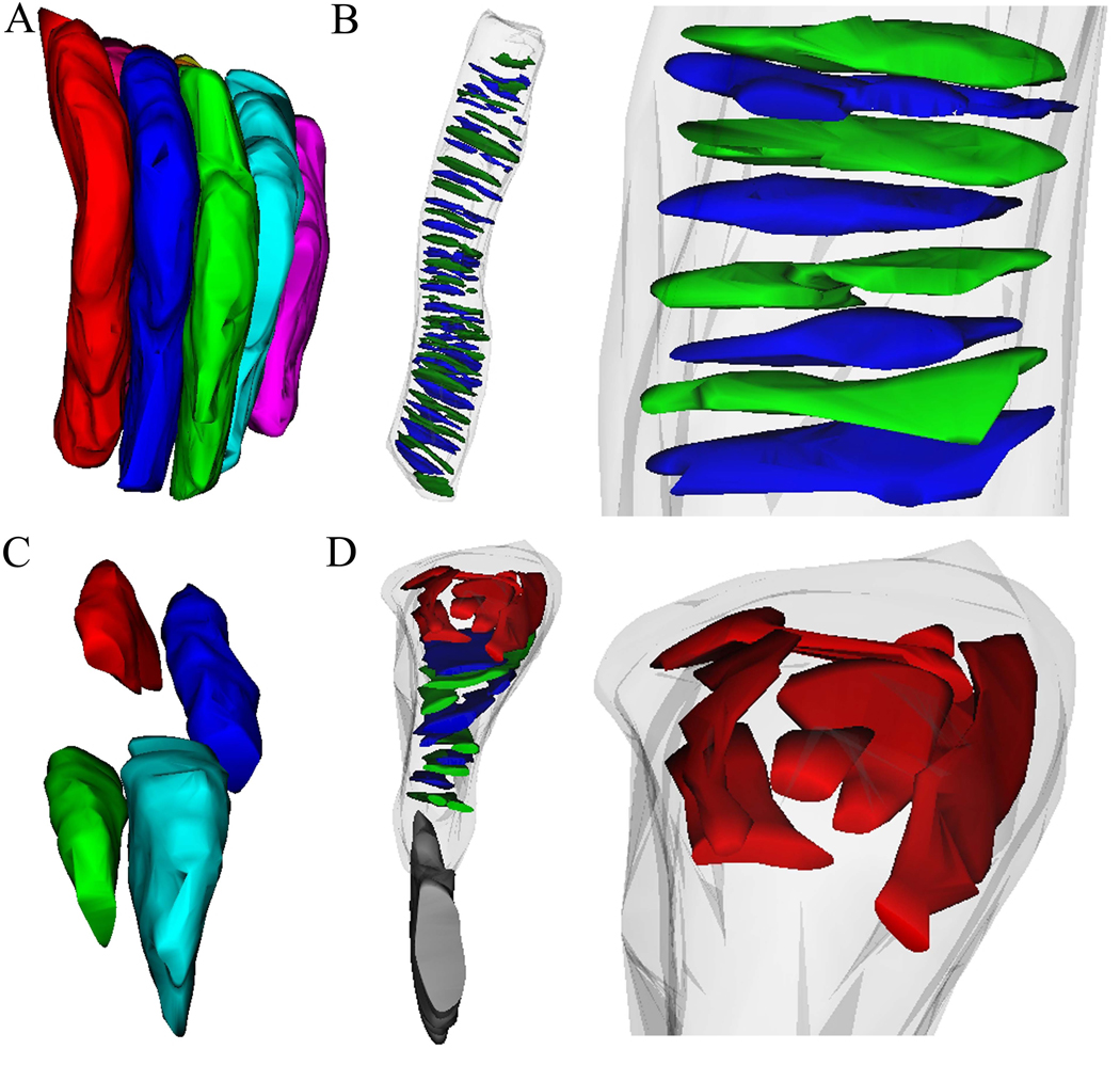 Fig. 6