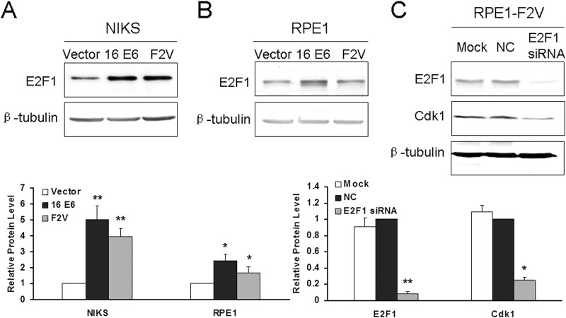 FIG 6