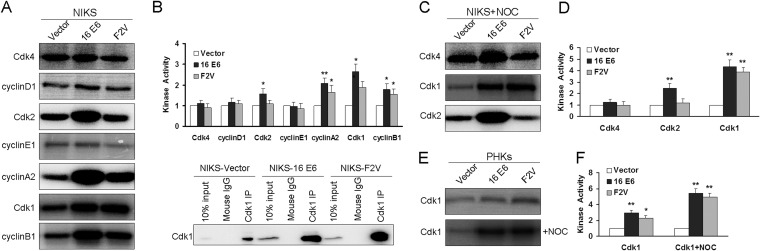 FIG 2