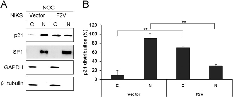 FIG 7