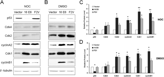 FIG 1