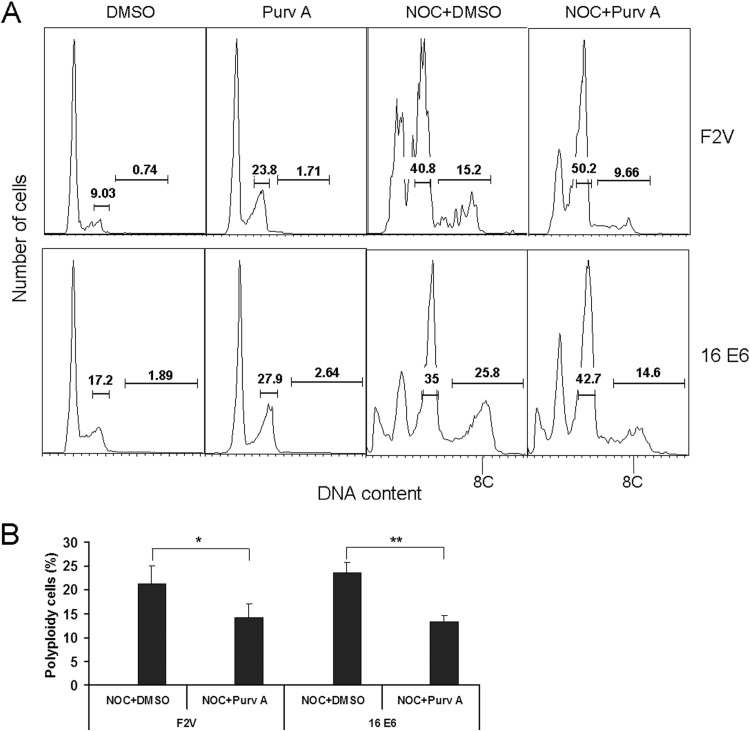 FIG 5