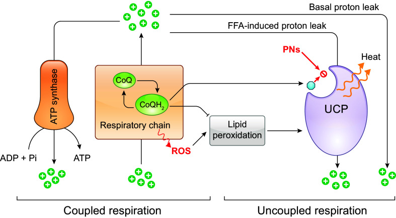 FIGURE 14.