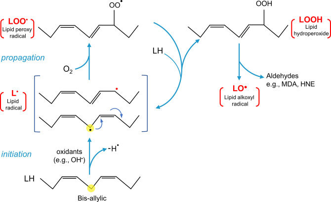 FIGURE 10.